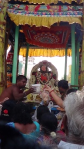 Narthana Ganapathy, Mylapore Ther, 2014